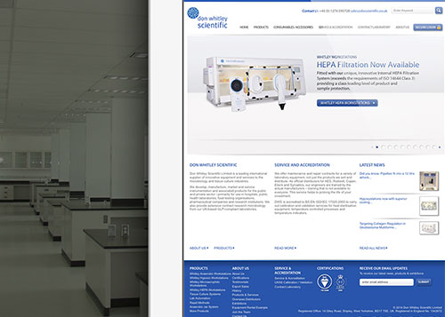 Website Design & Development
