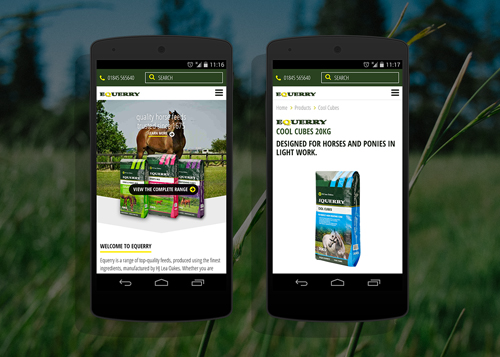 Ecommerce Responsive Website Design & Development