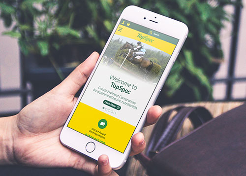 Ecommerce Responsive Website Design & Development