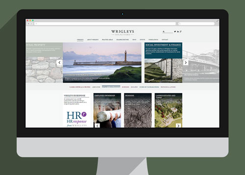 Website Design & Development